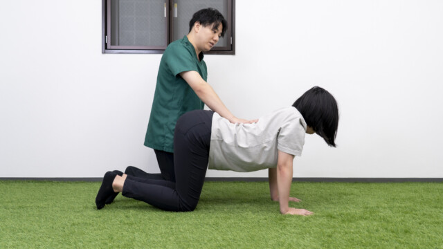 キャットアンドドック 体幹トレーニング